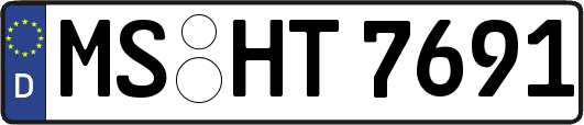 MS-HT7691