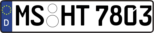 MS-HT7803