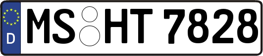 MS-HT7828