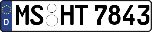 MS-HT7843