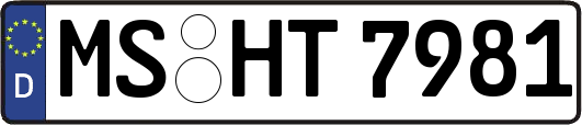 MS-HT7981