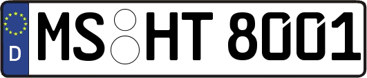 MS-HT8001