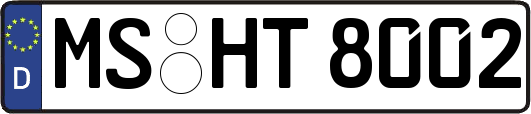 MS-HT8002