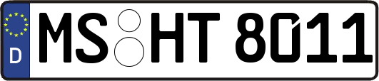 MS-HT8011