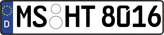 MS-HT8016