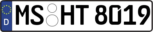 MS-HT8019