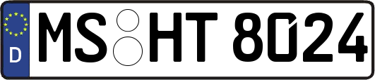 MS-HT8024