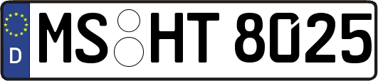MS-HT8025