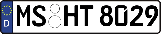 MS-HT8029
