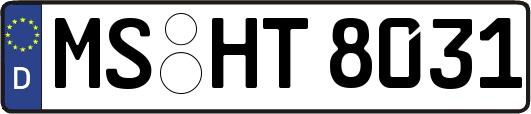 MS-HT8031