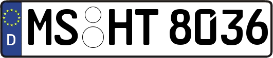 MS-HT8036