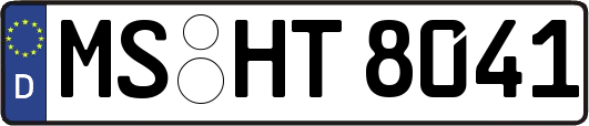 MS-HT8041