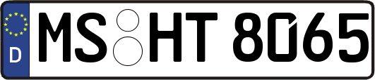 MS-HT8065