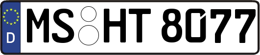 MS-HT8077