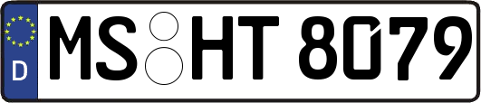 MS-HT8079