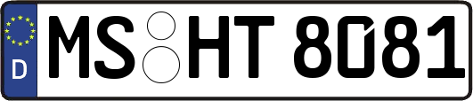 MS-HT8081