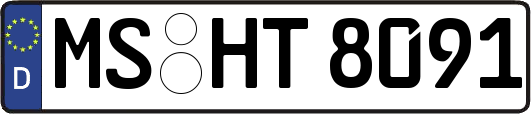 MS-HT8091