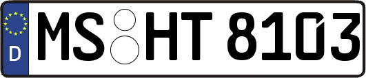 MS-HT8103