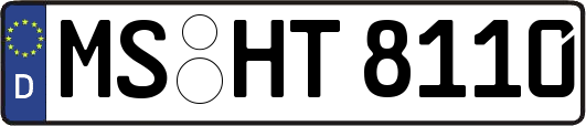 MS-HT8110