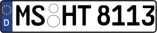 MS-HT8113