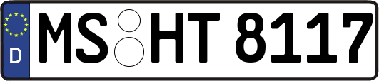 MS-HT8117