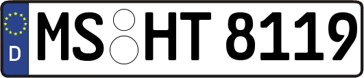 MS-HT8119