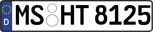 MS-HT8125