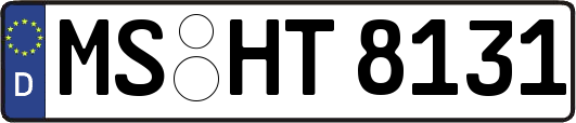 MS-HT8131