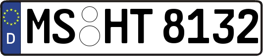 MS-HT8132