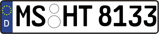 MS-HT8133