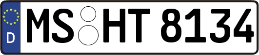 MS-HT8134