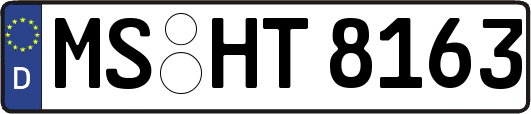 MS-HT8163