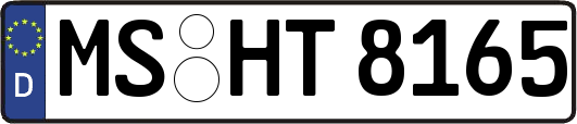 MS-HT8165