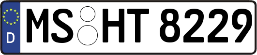 MS-HT8229