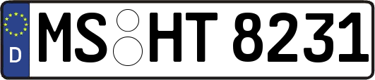 MS-HT8231