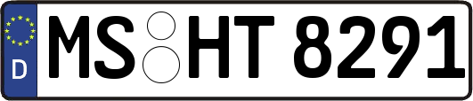 MS-HT8291
