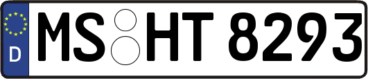 MS-HT8293