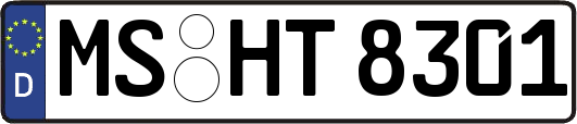 MS-HT8301