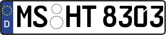 MS-HT8303