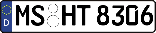 MS-HT8306