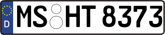 MS-HT8373