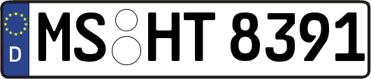 MS-HT8391