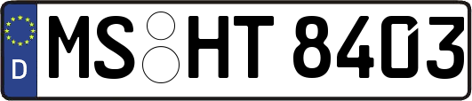 MS-HT8403