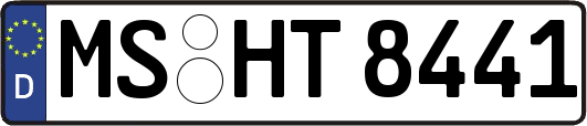 MS-HT8441