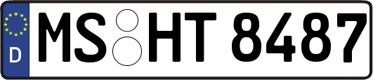 MS-HT8487