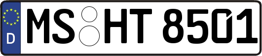 MS-HT8501