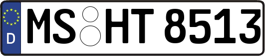 MS-HT8513