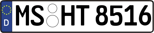 MS-HT8516
