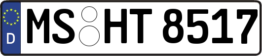 MS-HT8517