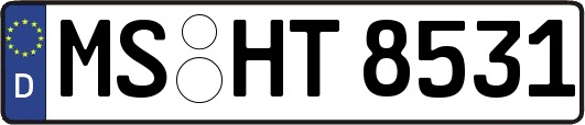 MS-HT8531